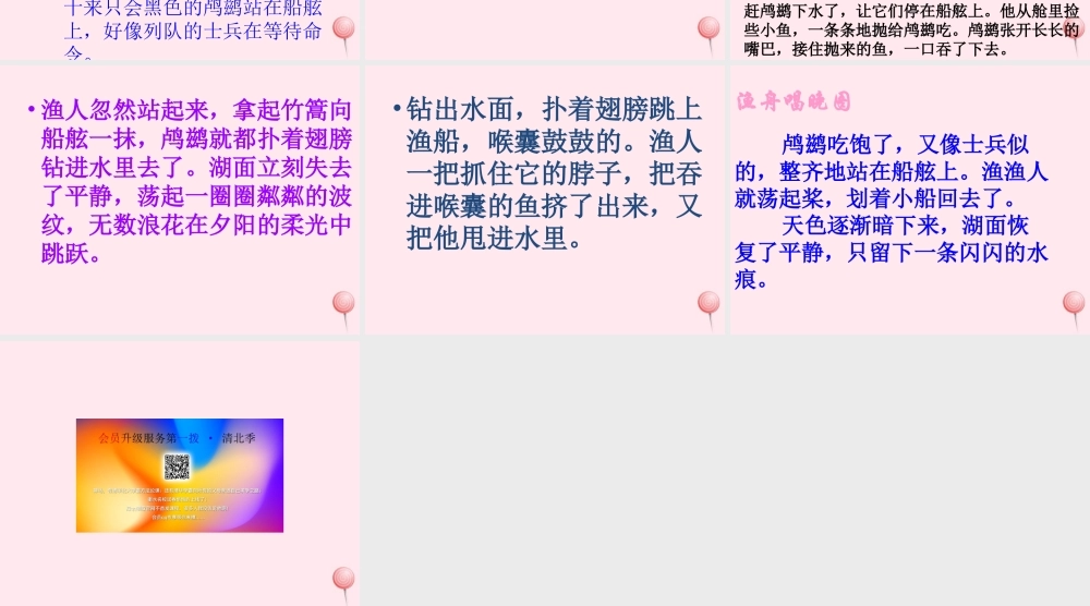 五年级语文上册 第一单元 5《动物二章》优佳课件 冀教版-冀教版小学五年级上册语文课件