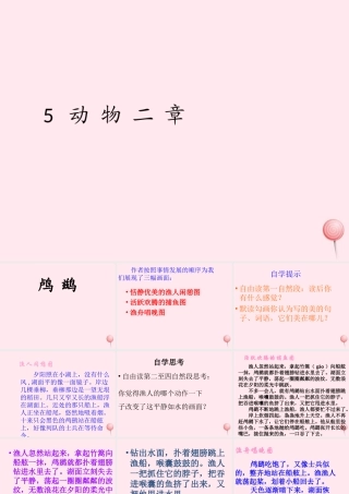 五年级语文上册 第一单元 5《动物二章》优佳课件 冀教版-冀教版小学五年级上册语文课件