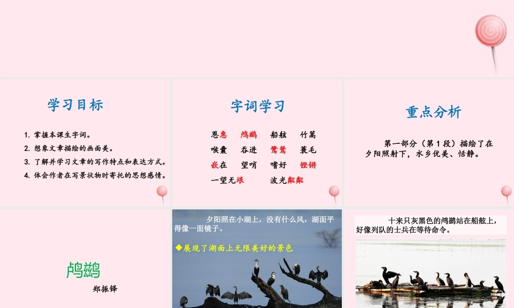 五年级语文上册 第一单元 5《动物二章》优培课件 冀教版-冀教版小学五年级上册语文课件