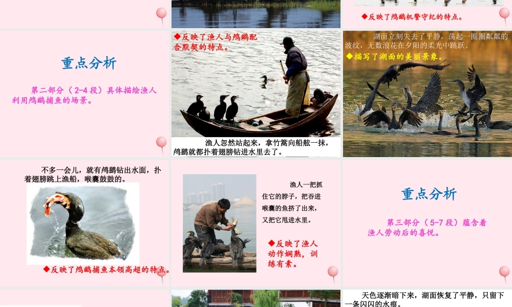 五年级语文上册 第一单元 5《动物二章》优培课件 冀教版-冀教版小学五年级上册语文课件