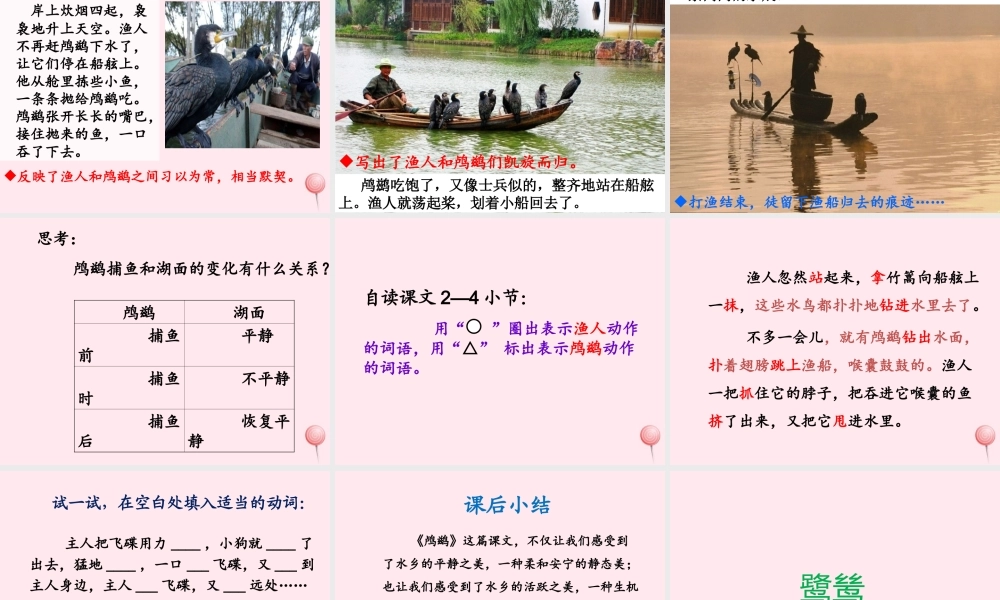 五年级语文上册 第一单元 5《动物二章》优培课件 冀教版-冀教版小学五年级上册语文课件
