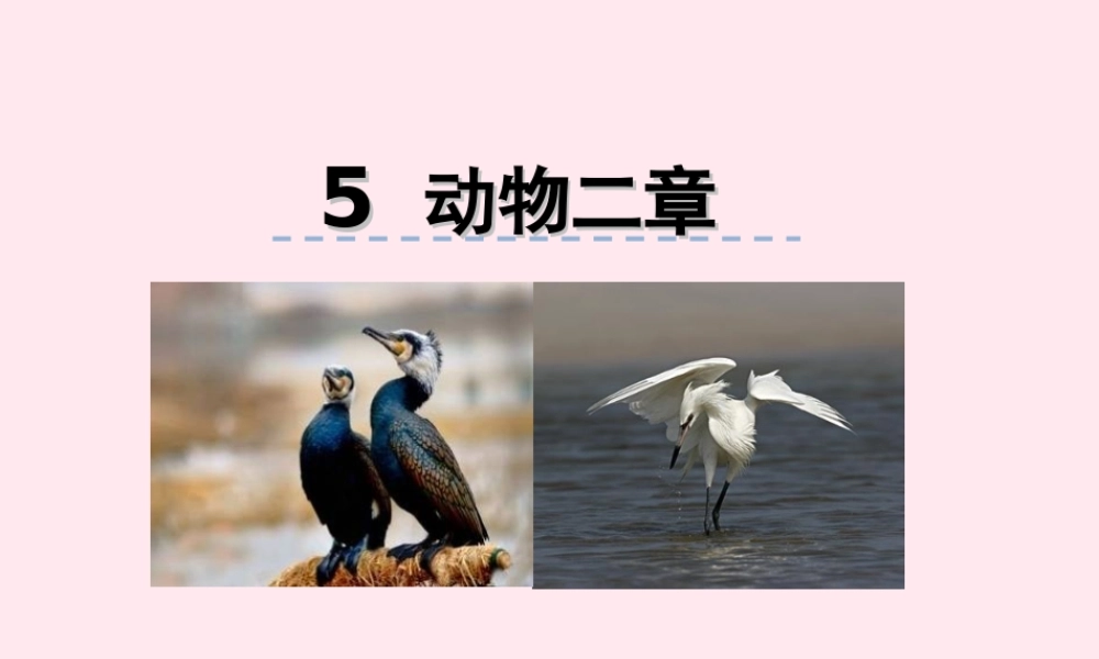 五年级语文上册 第一单元 5《动物二章》优秀课件 冀教版-冀教版小学五年级上册语文课件