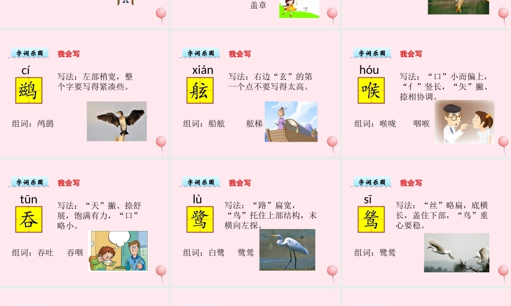 五年级语文上册 第一单元 5《动物二章》优秀课件 冀教版-冀教版小学五年级上册语文课件