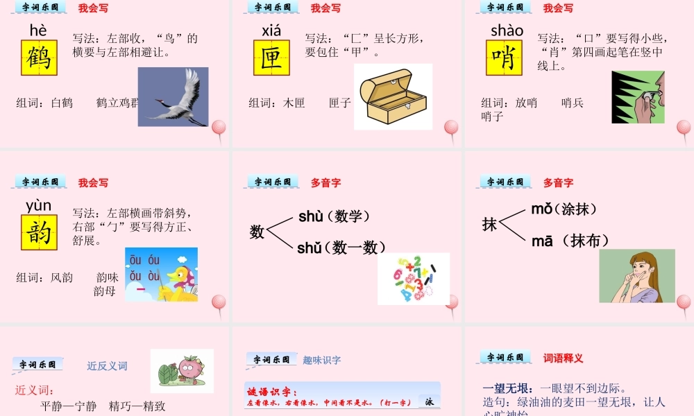 五年级语文上册 第一单元 5《动物二章》优秀课件 冀教版-冀教版小学五年级上册语文课件