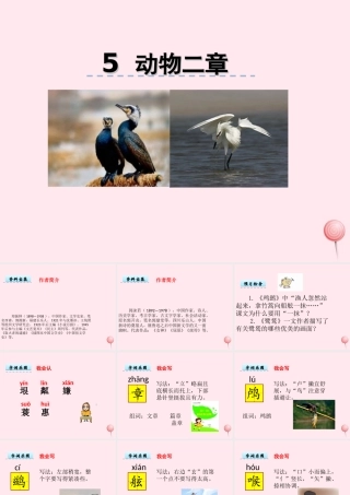 五年级语文上册 第一单元 5《动物二章》优秀课件 冀教版-冀教版小学五年级上册语文课件