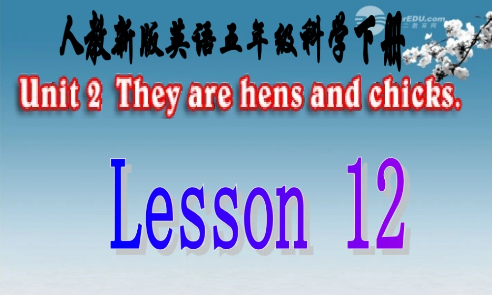 五年级英语下册 Lesson12课件 冀教版