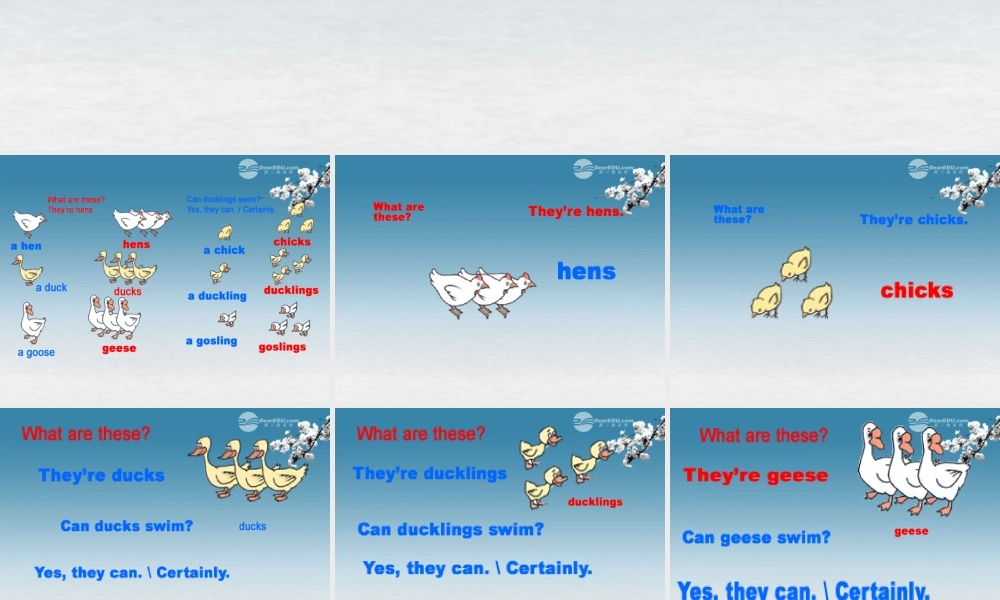 五年级英语下册 Lesson12课件 冀教版