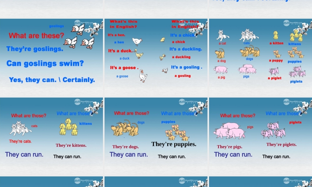 五年级英语下册 Lesson12课件 冀教版