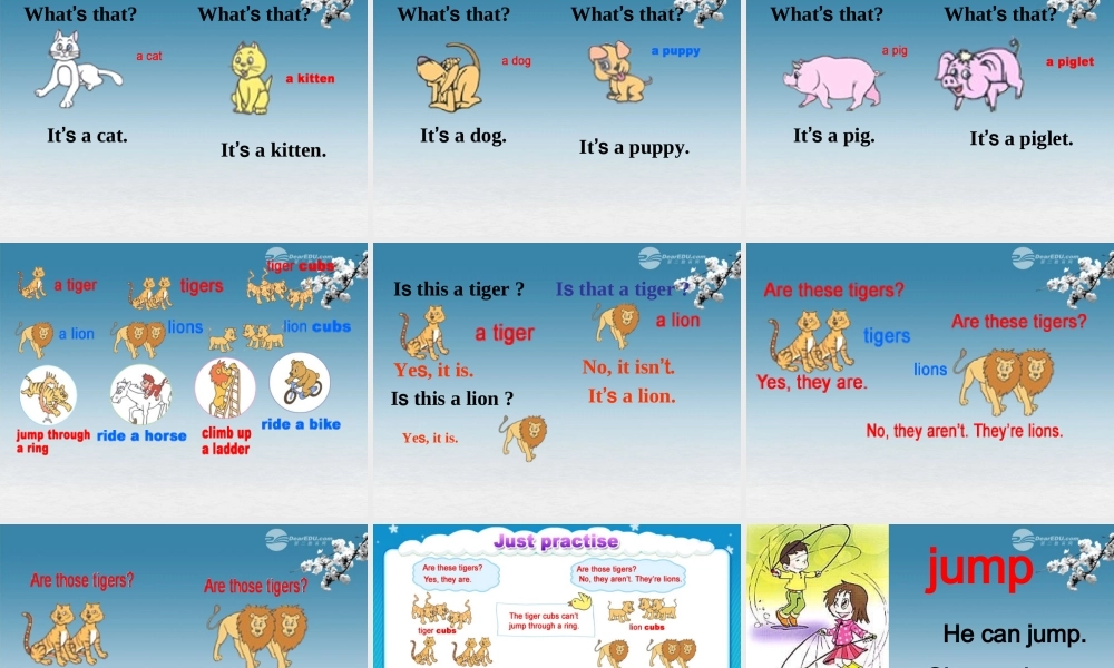 五年级英语下册 Lesson12课件 冀教版