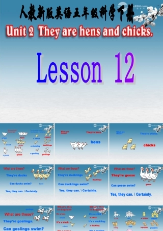 五年级英语下册 Lesson12课件 冀教版