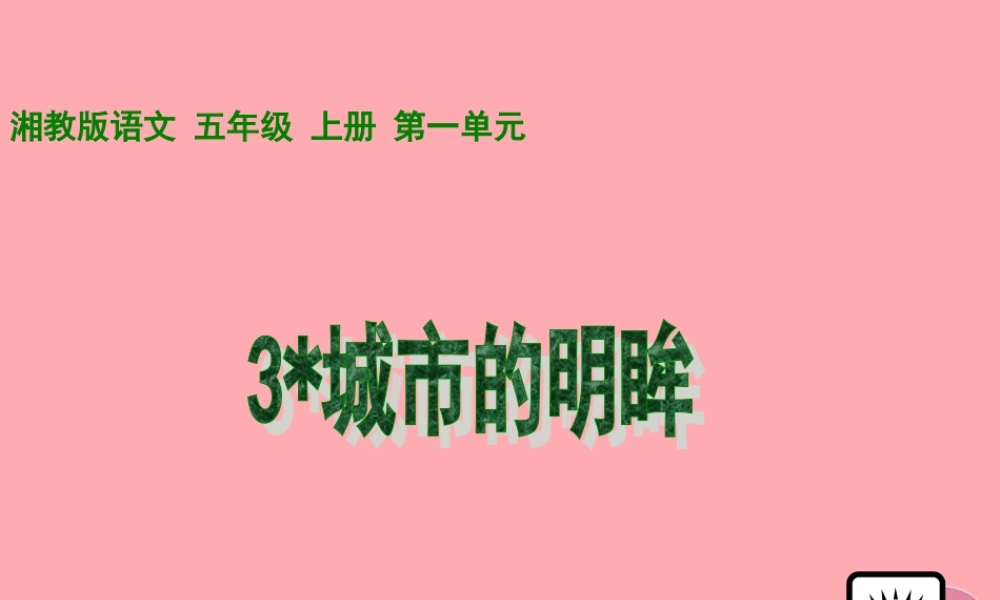 五年级语文上册 第一单元 城市的明眸课件2 湘教版-湘教版小学五年级上册语文课件
