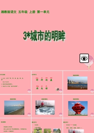 五年级语文上册 第一单元 城市的明眸课件2 湘教版-湘教版小学五年级上册语文课件