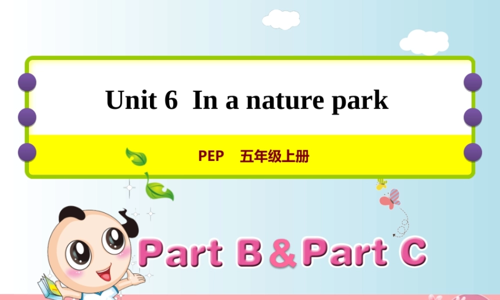 五年级英语上册 Unit 6 In a nature park PB Let’s learn课件 人教pep-人教版小学五年级上册英语课件