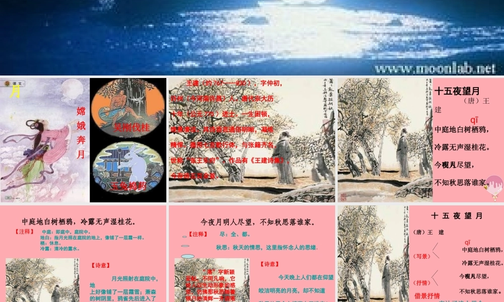 五年级语文上册 第一单元 古诗诵读：十五夜望月课件4 鄂教版-鄂教版小学五年级上册语文课件