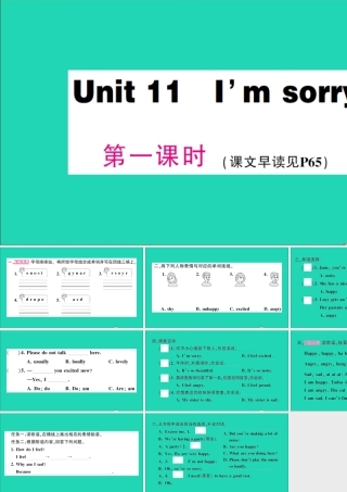 五年级英语上册 Unit 11 I'm sorry第一课时作业课件 湘少版（三起）-湘少版小学五年级上册英语课件