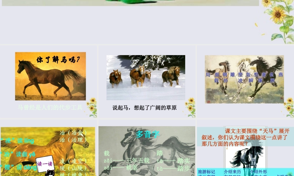 五年级语文上册 第一单元 马 1 天马教学课件 北师大版-北师大版小学五年级上册语文课件