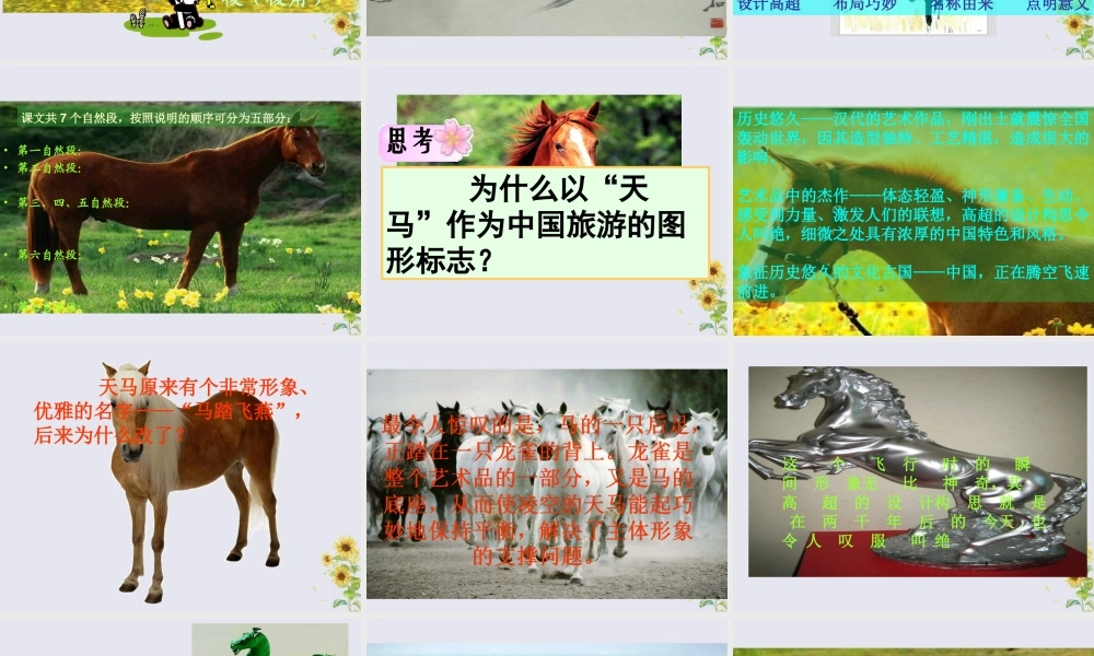 五年级语文上册 第一单元 马 1 天马教学课件 北师大版-北师大版小学五年级上册语文课件