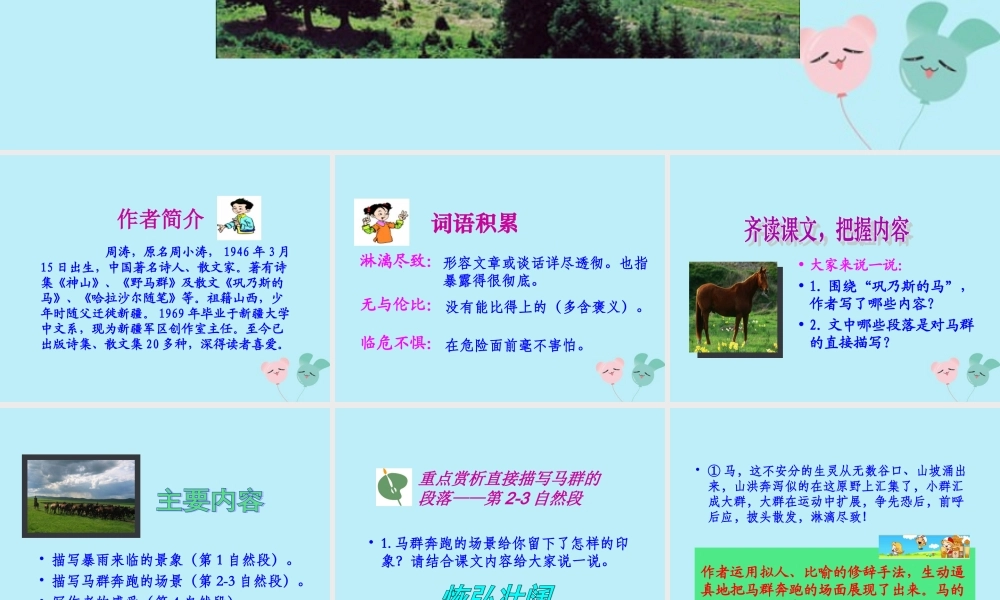 五年级语文上册 第一单元 马 3 巩乃斯的马教学课件 北师大版-北师大版小学五年级上册语文课件