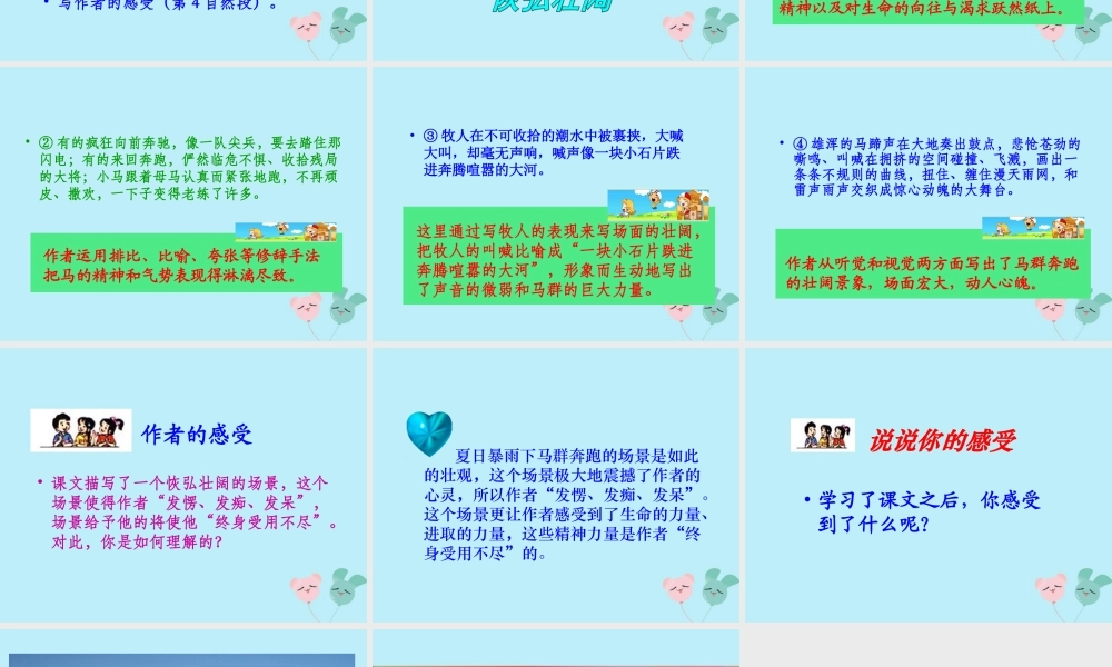 五年级语文上册 第一单元 马 3 巩乃斯的马教学课件 北师大版-北师大版小学五年级上册语文课件