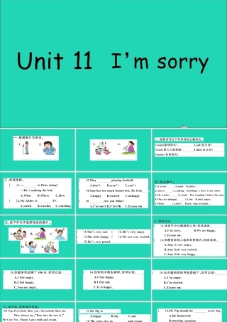 五年级英语上册 Unit 11 I'm sorry作业课件 湘少版-湘少版小学五年级上册英语课件