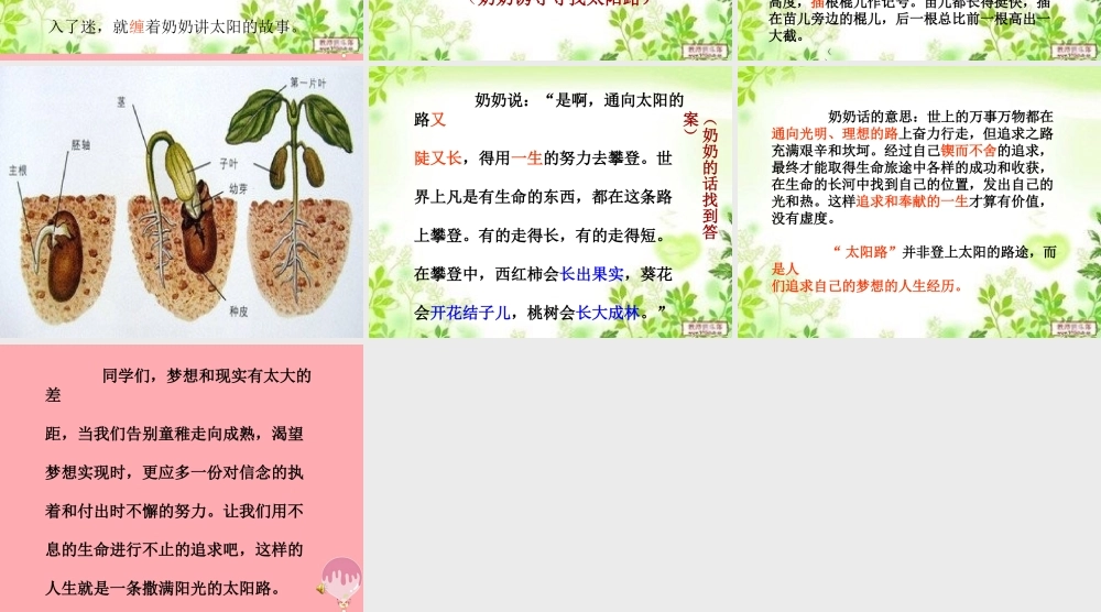 五年级语文上册 第一单元 太阳路课件1 鄂教版-鄂教版小学五年级上册语文课件