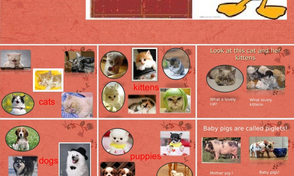 五年级英语下册 unit2（4）课件 人教新版