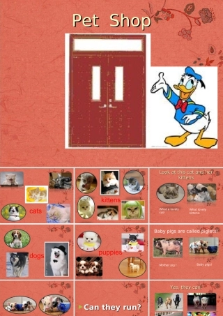 五年级英语下册 unit2（4）课件 人教新版