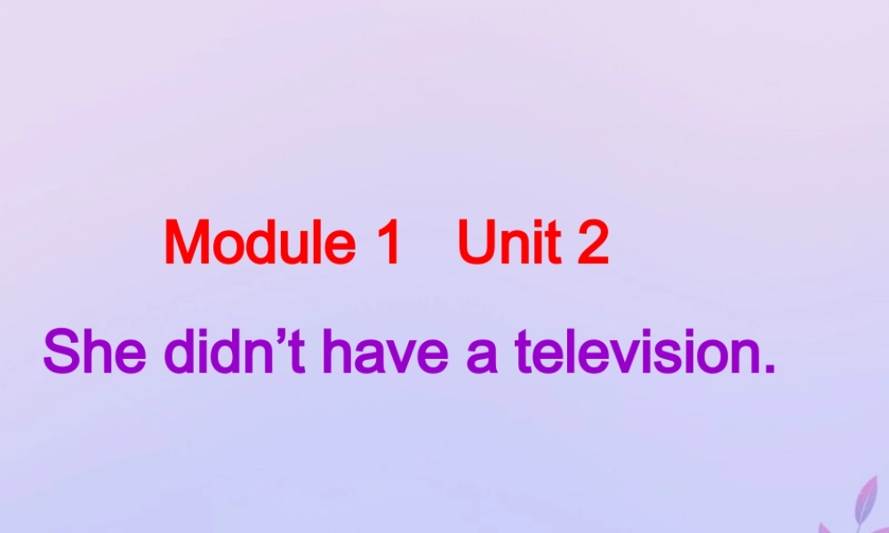五年级英语下册 Module 1 Unit 2 She didn’t have a television（2）教学课件 外研版（三起）-外研版小学五年级下册英语课件