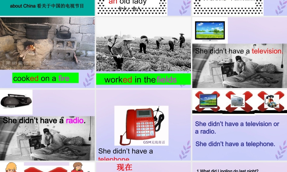 五年级英语下册 Module 1 Unit 2 She didn’t have a television（2）教学课件 外研版（三起）-外研版小学五年级下册英语课件