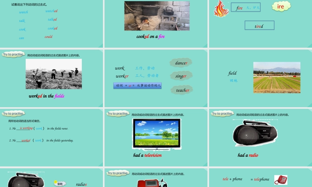 五年级英语下册 Module 1 Unit 2 She didn’t have a television课件 外研版（三起）-外研版小学五年级下册英语课件