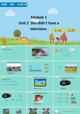 五年级英语下册 Module 1 Unit 2 She didn’t have a television课件 外研版（三起）-外研版小学五年级下册英语课件