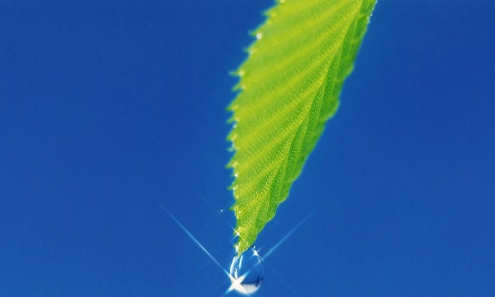 五年级英语上册 Unit 11 Water课件2 牛津上海版-牛津上海版小学五年级上册英语课件