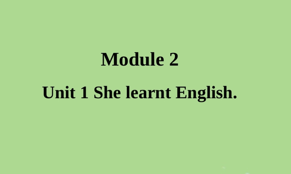 五年级英语下册 Module 2 Unit 1 She learnt English（1）教学课件 外研版（三起）-外研版小学五年级下册英语课件