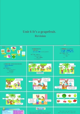 五年级英语上册 Unit 6 It's a grapefruit Revision课件+素材 人教精通版（三起）