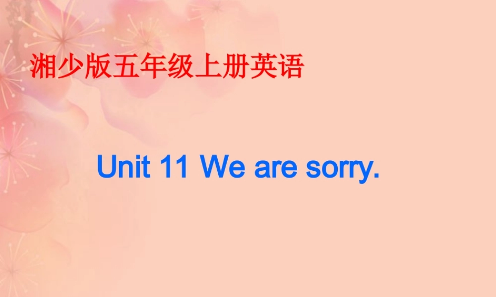 五年级英语上册 Unit 11(2)课件 湘少版