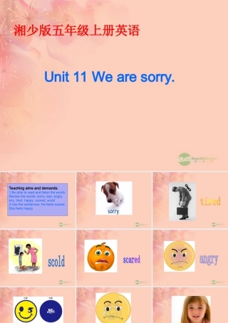 五年级英语上册 Unit 11(2)课件 湘少版