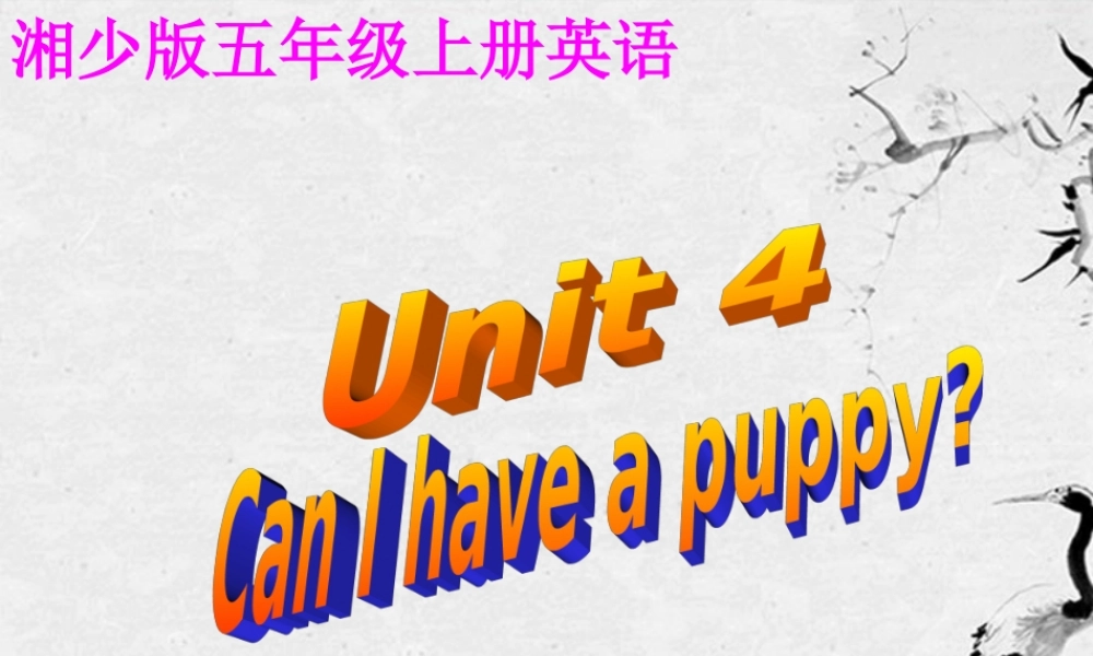 五年级英语上册 Unit 4(3)课件 湘少版