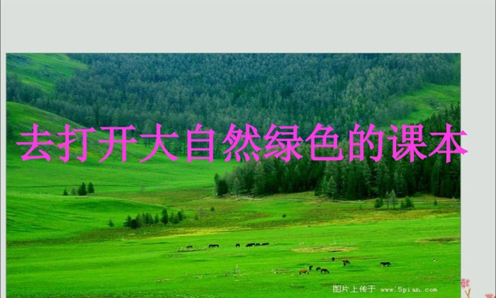 五年级语文上册 第二单元 4 去打开大自然绿色的课本教学课件1 苏教版-苏教版小学五年级上册语文课件