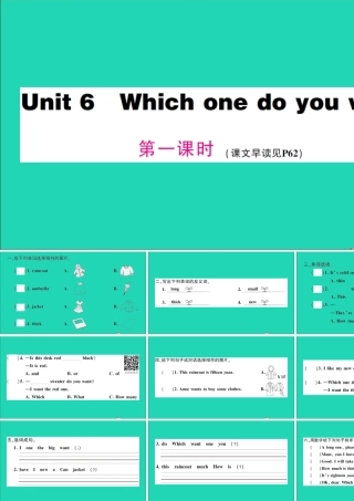 五年级英语上册 Unit 6 Which one do you want第一课时作业课件 湘少版（三起）-湘少版小学五年级上册英语课件