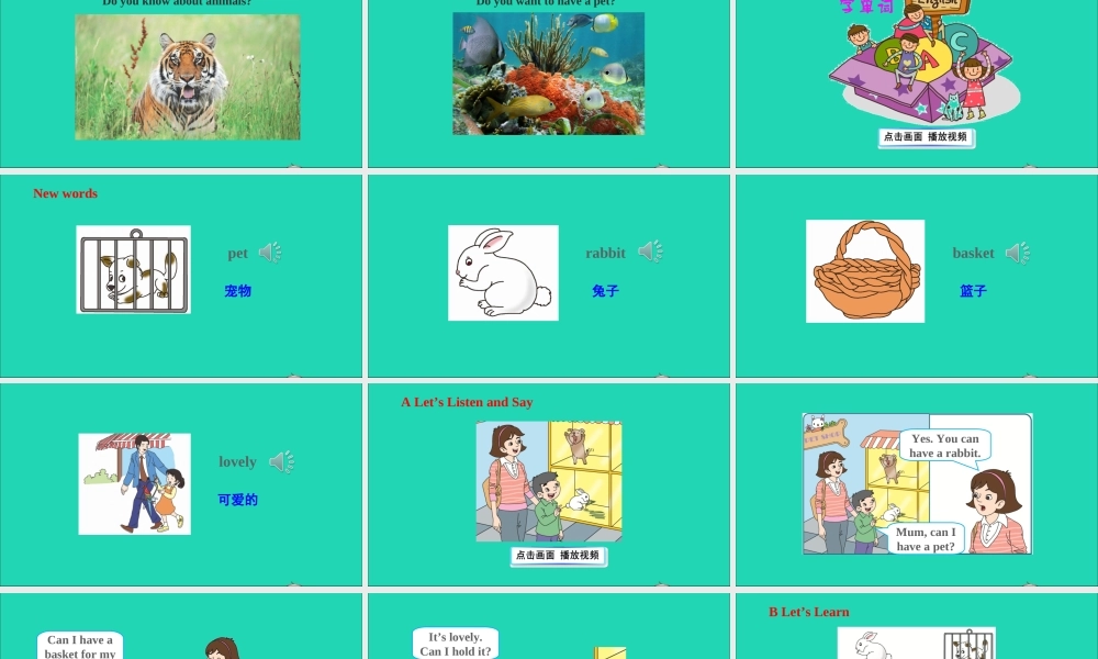 五年级英语上册 Unit 5  Can I have a pet课件+素材 湘少版