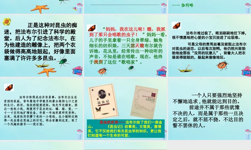 五年级语文上册 第二单元 5 装满昆虫的口袋教学课件 苏教版-苏教版小学五年级上册语文课件