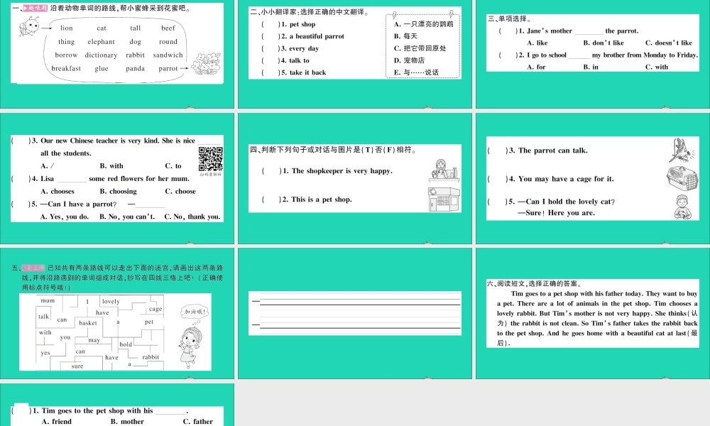 五年级英语上册 Unit 5 Can I have a pet第二课时作业课件 湘少版（三起）-湘少版小学五年级上册英语课件
