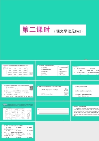 五年级英语上册 Unit 5 Can I have a pet第二课时作业课件 湘少版（三起）-湘少版小学五年级上册英语课件