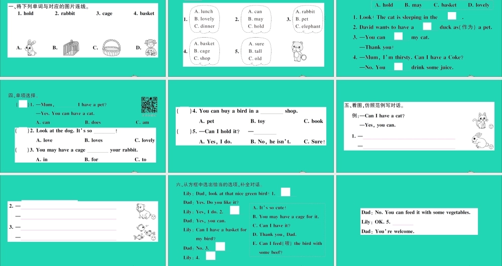 五年级英语上册 Unit 5 Can I have a pet第一课时作业课件 湘少版（三起）-湘少版小学五年级上册英语课件