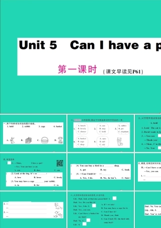 五年级英语上册 Unit 5 Can I have a pet第一课时作业课件 湘少版（三起）-湘少版小学五年级上册英语课件