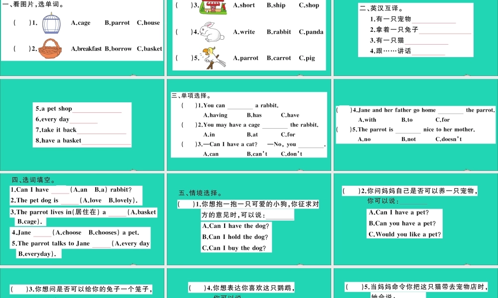 五年级英语上册 Unit 5 Can I have a pet作业课件 湘少版-湘少版小学五年级上册英语课件