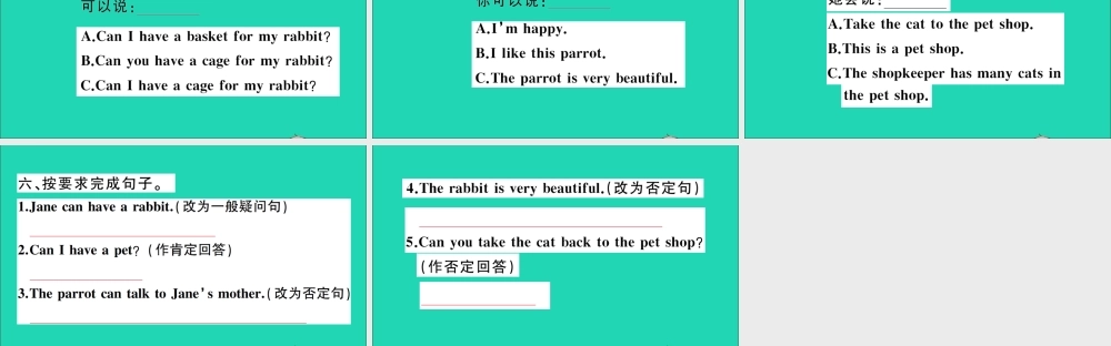 五年级英语上册 Unit 5 Can I have a pet作业课件 湘少版-湘少版小学五年级上册英语课件