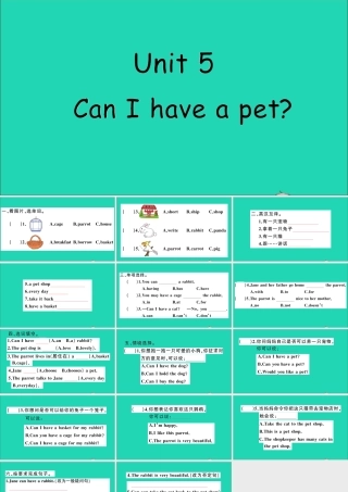五年级英语上册 Unit 5 Can I have a pet作业课件 湘少版-湘少版小学五年级上册英语课件