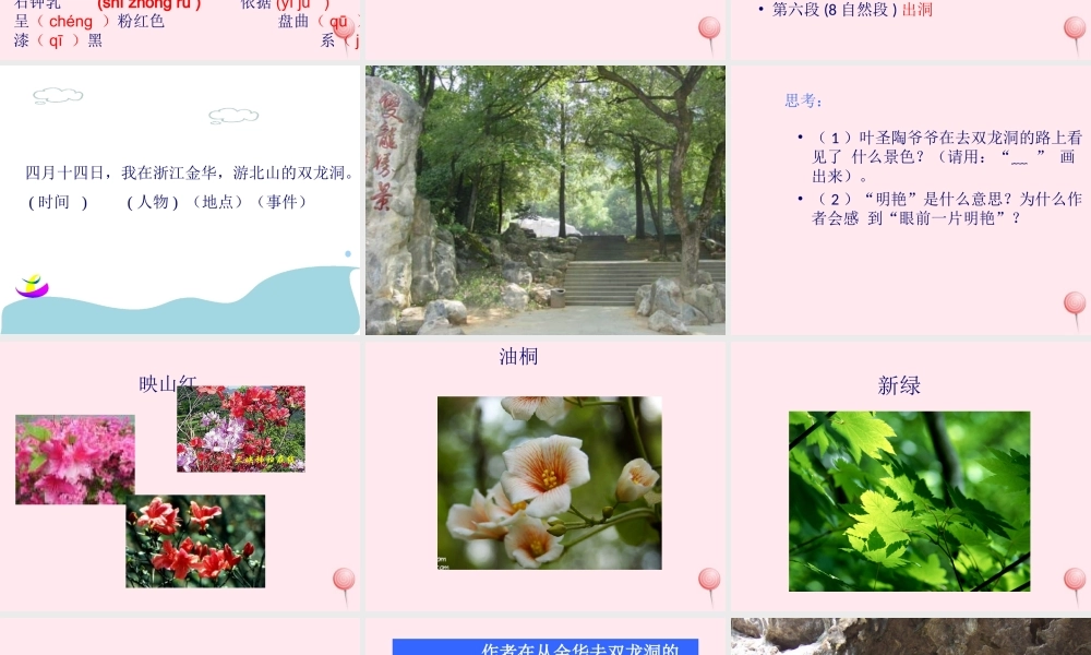 五年级语文上册 第二单元 5《记金华的双龙洞》课件1 北京版-北京版小学五年级上册语文课件