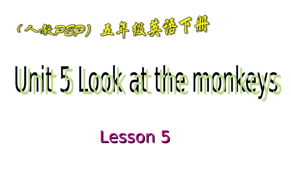 五年级英语下册 Unit5Lesson5课件 人教PEP